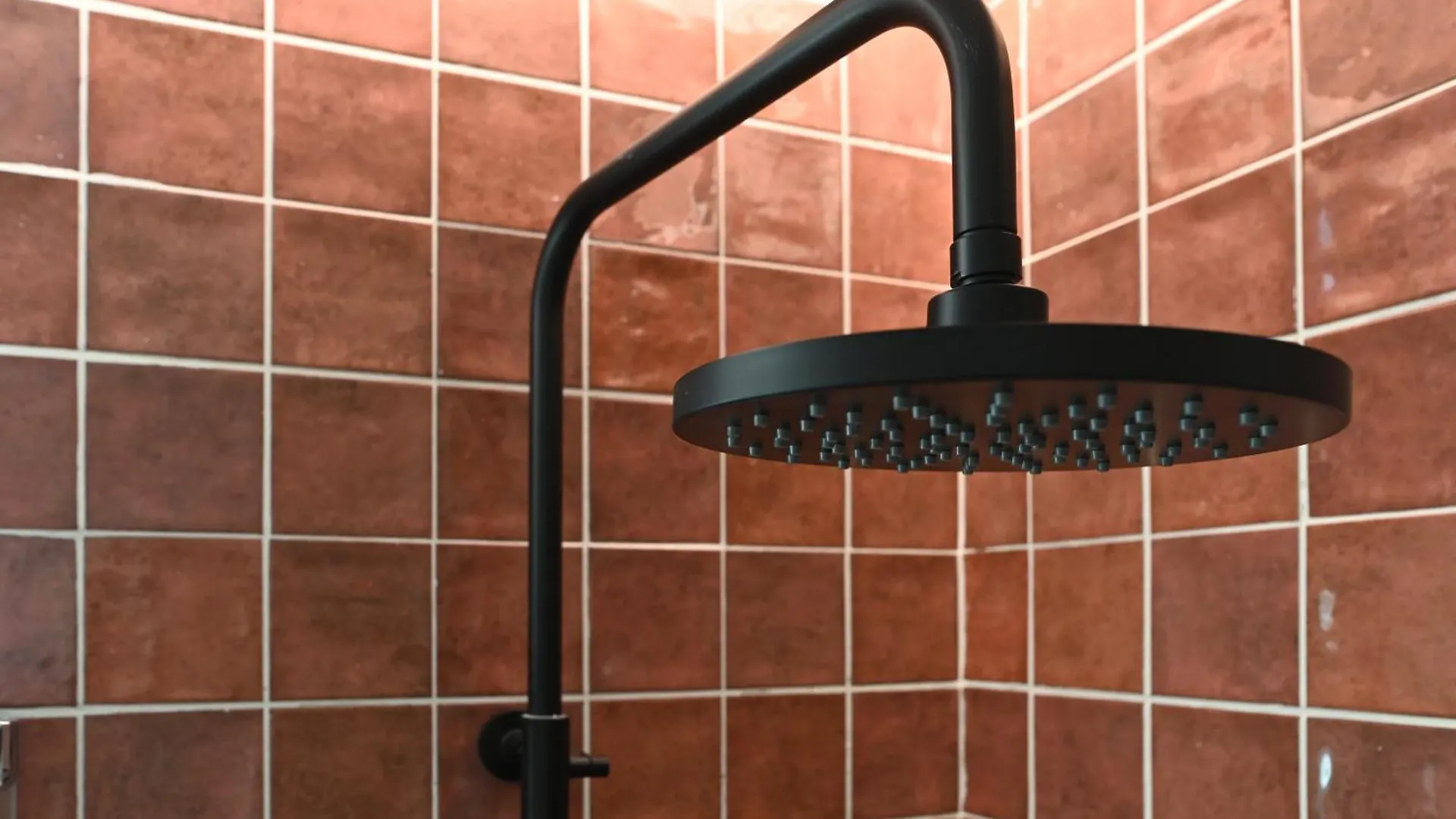 Alohamundi Curtidurias Apartment Seville 0*,